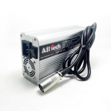 Full Automatic Intelligent 24V 10A 11A 12A 13A 14A 15A Smart/ Universal Lead Acid Battery Charger 29.4V Customized